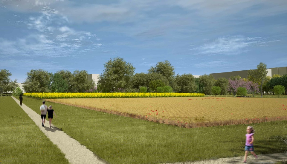 campi agricoli